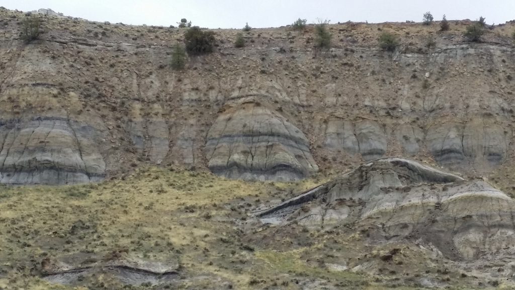 Coal seems of central Wyoming